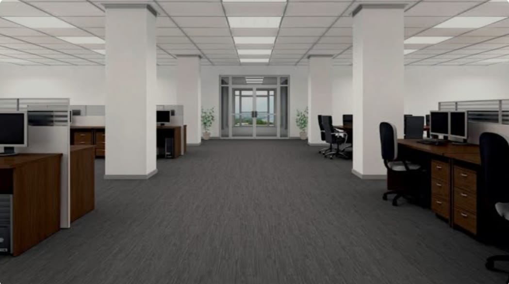 Carpet cleaning 2